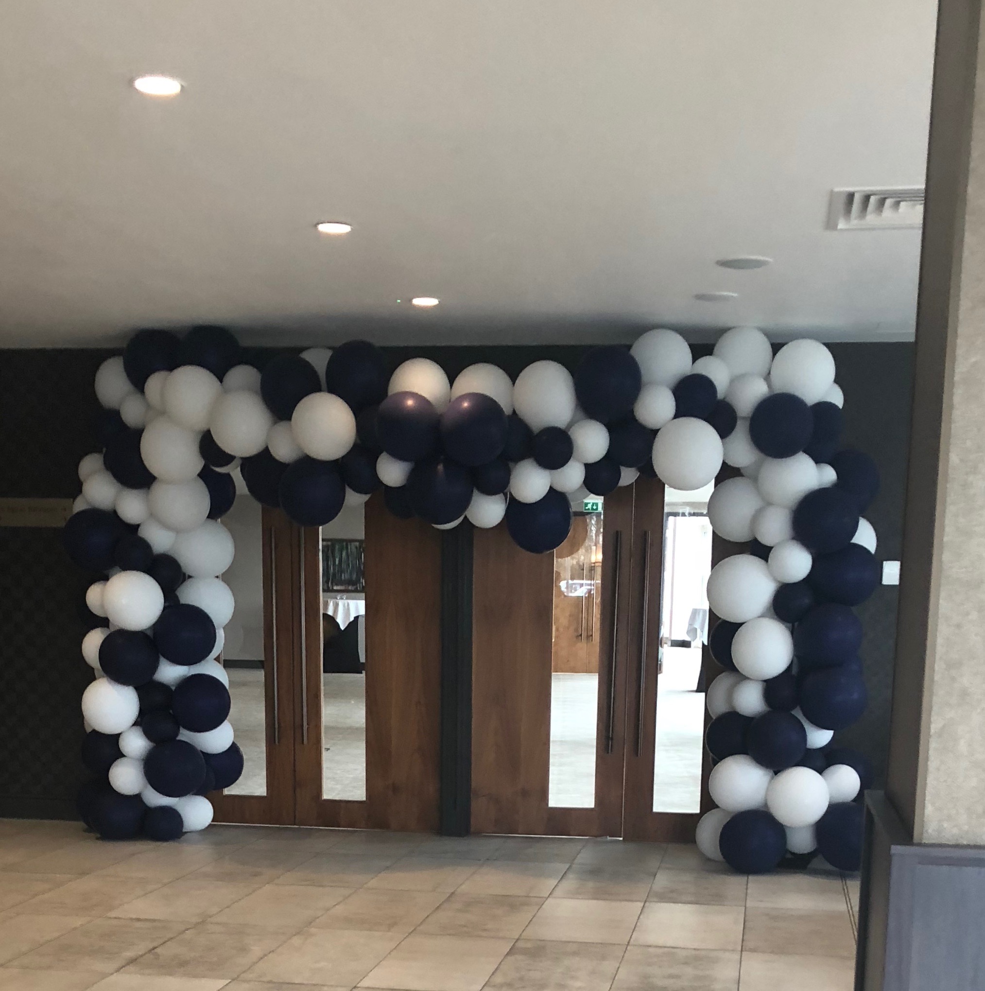 Balloon Arches & Frames